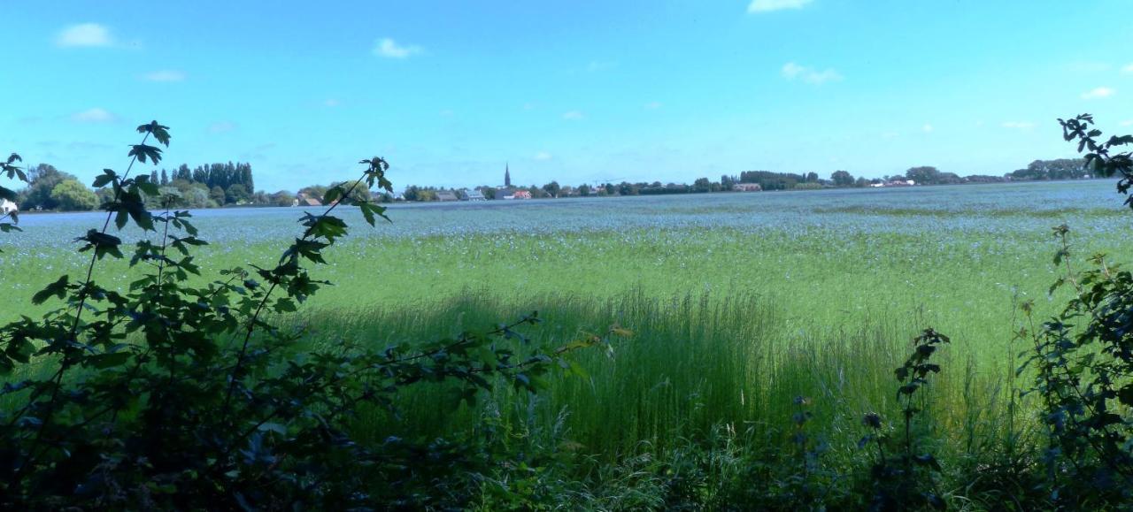 B&B 'T Wit Reigertje Oudenburg Buitenkant foto