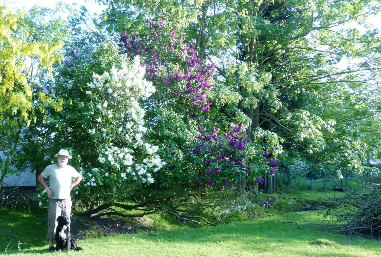 B&B 'T Wit Reigertje Oudenburg Buitenkant foto